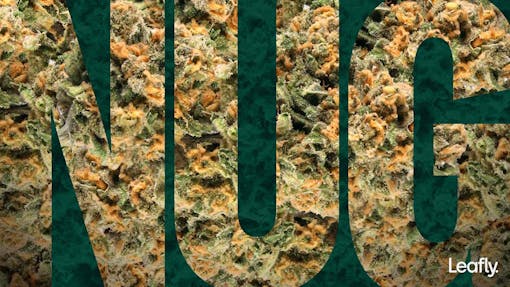 marijuana zoom background leafly