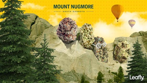 marijuana zoom background leafly