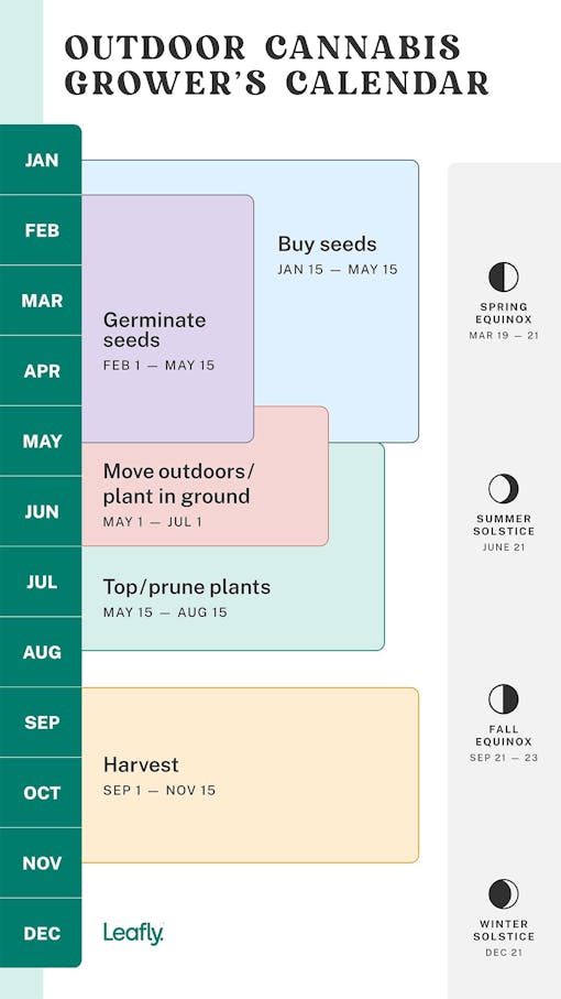 outdoor cannabis growing calendar
