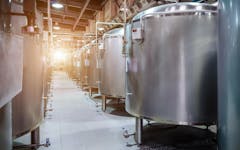 yeast fermentation, rare cannabinoids