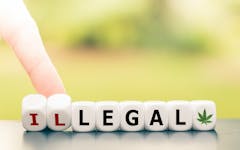 legalization-success