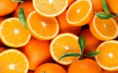 orange cannabis strains