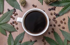 cannabis, coffee
