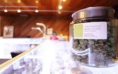 Montana-medical-marijuana-dispensaries