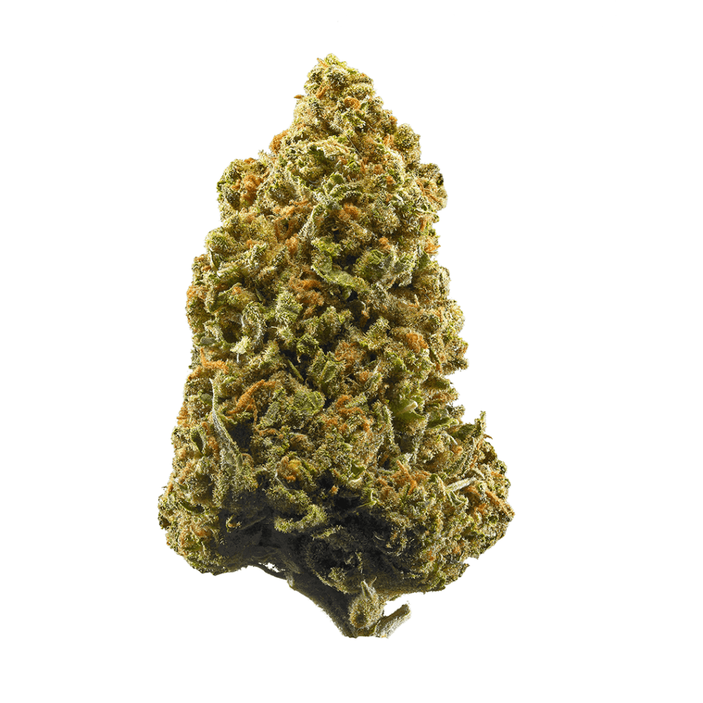 5 classic weed strains from the ‘60s you can still find today | Leafly