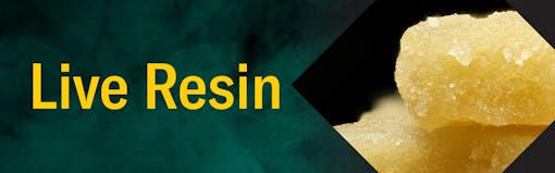 Keep live resin cool to conserve those terps. (Leafly)