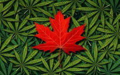 The government of Prime Minister Justin Trudeau announced Canada's cannabis record sealing program with great fanfare on Oct. 17, 2018. Thousands of Canadians are eligible. But only 436 have applied.