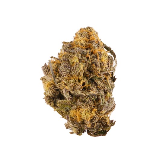 purple kush odmiana marihuany