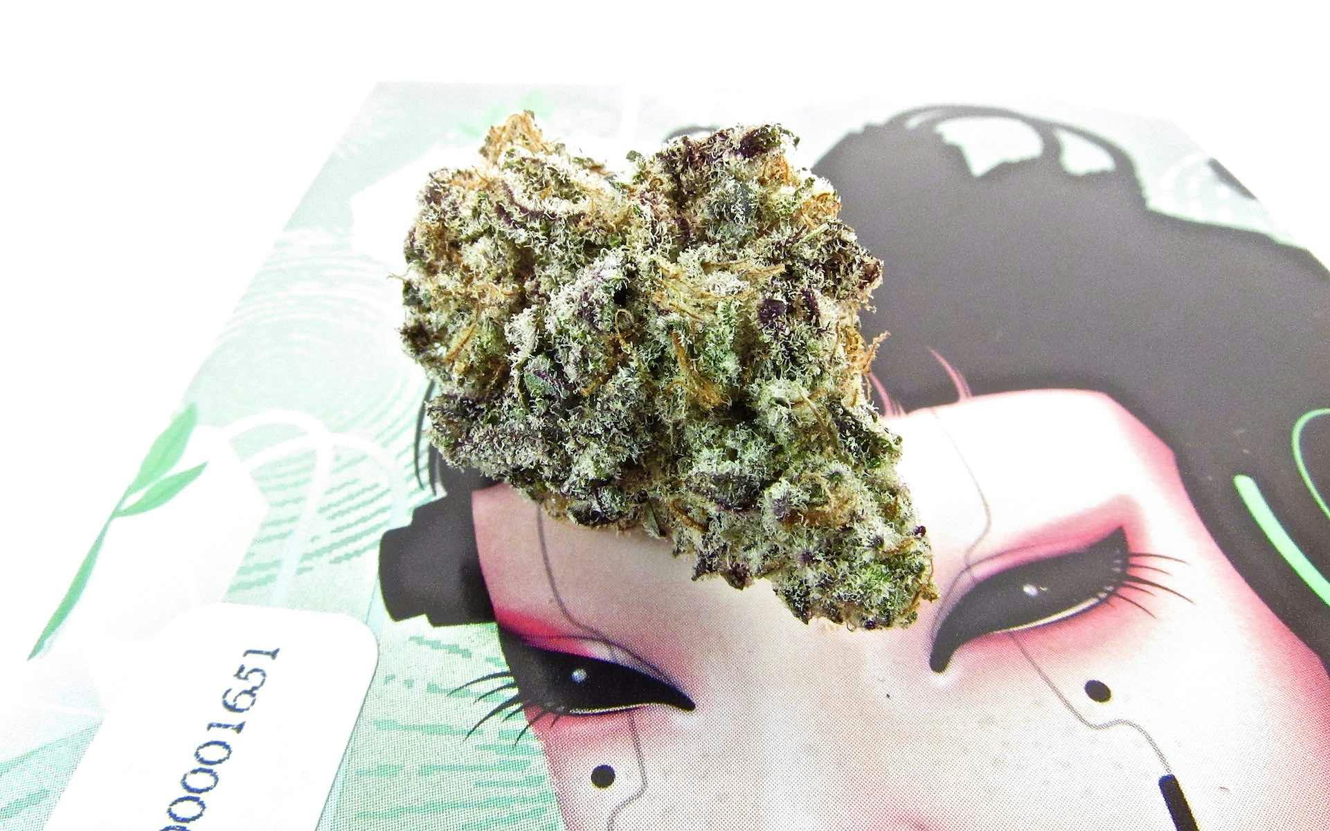 Best cannabis subscription boxes image