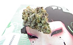 The High Society summer box at The Natural Cannabis Co. in Oakland, Santa Rosa, and Hopland pairs a cut of Capulator’s MAC1 with witchy, digi-art by Thailand’s Anne Martwijit. (David Downs/Leafly)