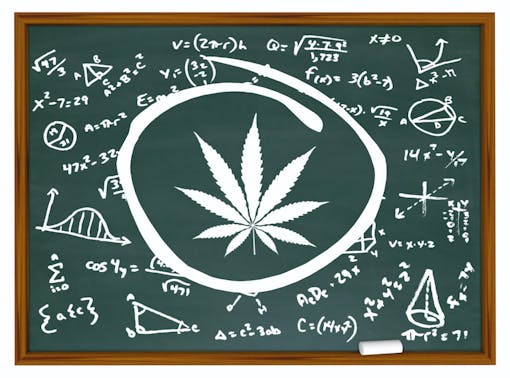 Illustration of marijuana and mathematic formulas on chalkboard
