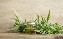 CBD oil hemp products, l-theanine