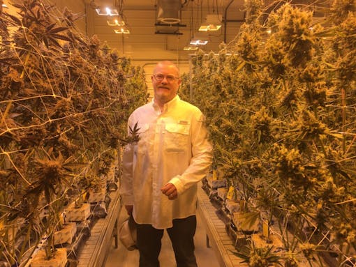 pepper-petersen-Montana-legalization