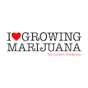 Best marijuana strains for indoor growing