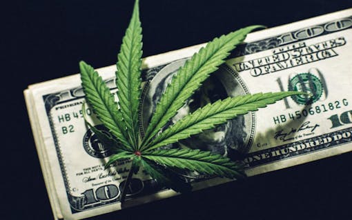illegal-marijuana-sales-United-States