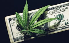 illegal-marijuana-sales-United-States