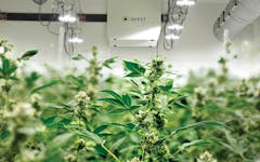 Quest IQ HVAC system