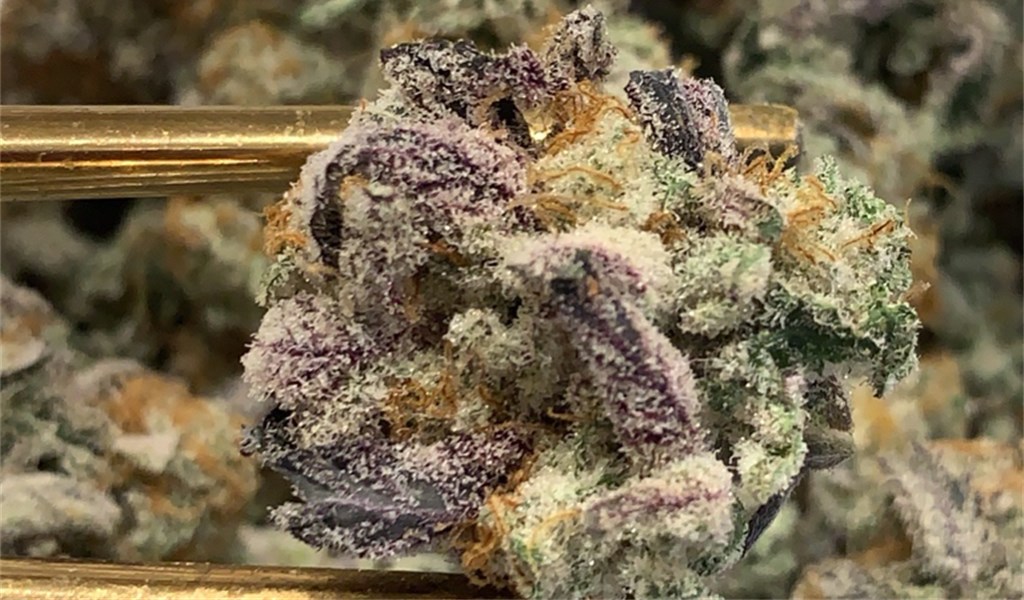 How to pair cannabis and coffee Leafly