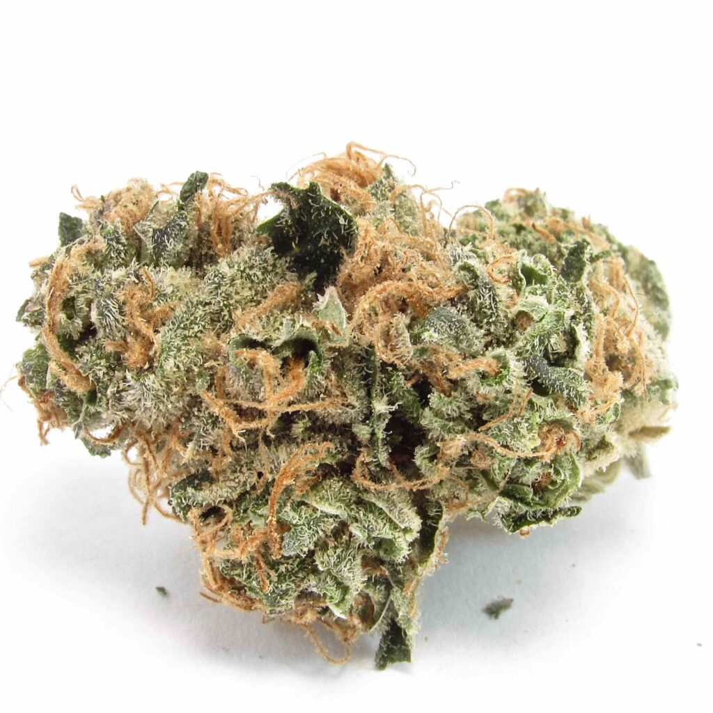 Leafly Buzz What’s hot in pot this month Leafly