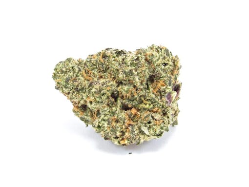 Cheetah Piss (David Downs:Leafly) Web