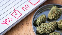 marijuana-legalization-political-polls