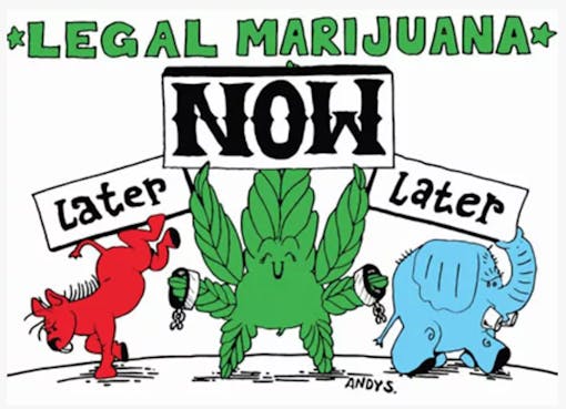 legal-marijuana-now-party