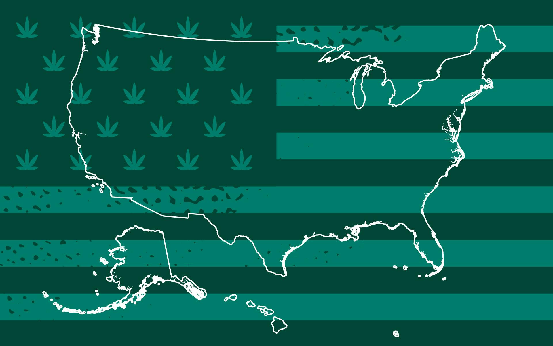 Election 2020: Cannabis legalization results and live coverage image