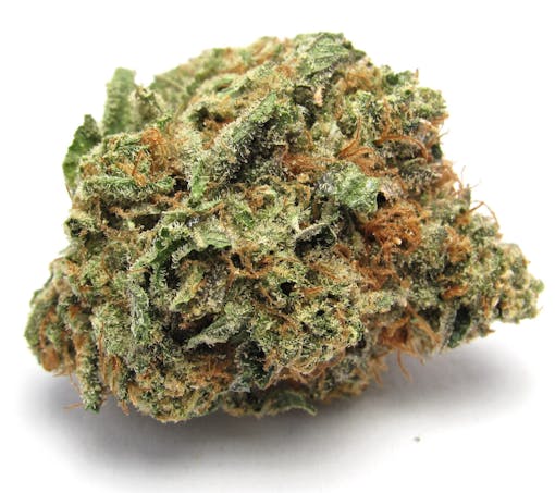 The density, size, resin, and purple hues of Cherry Pie OG (David Downs/Leafly)