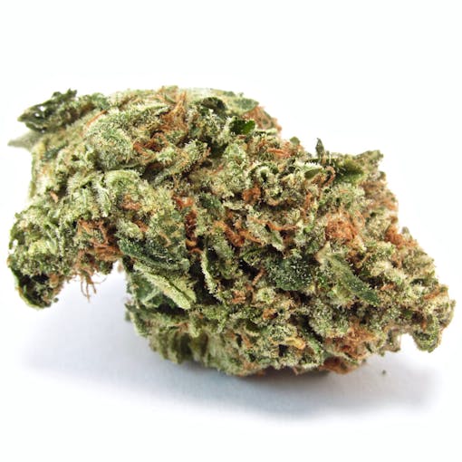Motorbreath marijuana strain