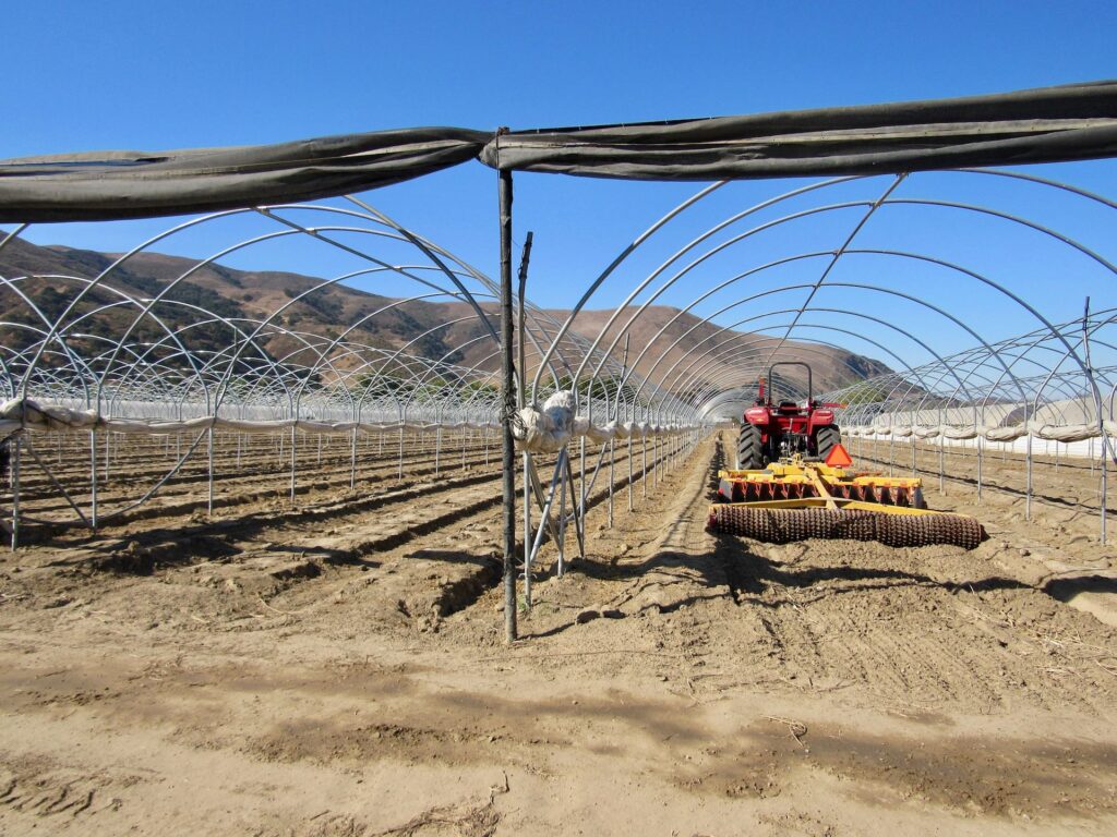 Raw Garden harvest photo essay by David Downs at Leafly