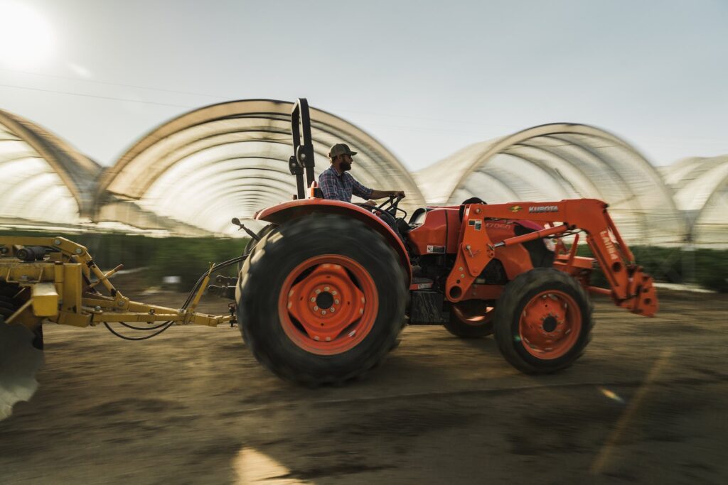 Raw Garden harvest photo essay by David Downs at Leafly
