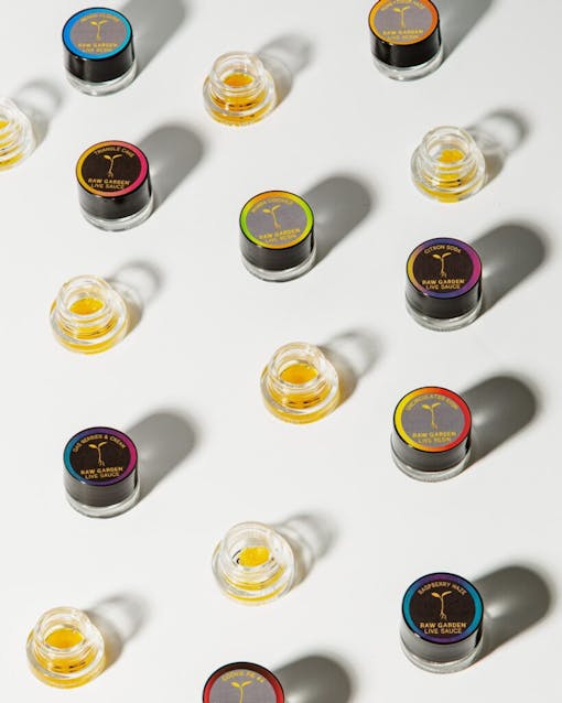 Raw Garden harvest photo essay by David Downs at Leafly