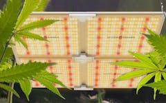 LED grow lights