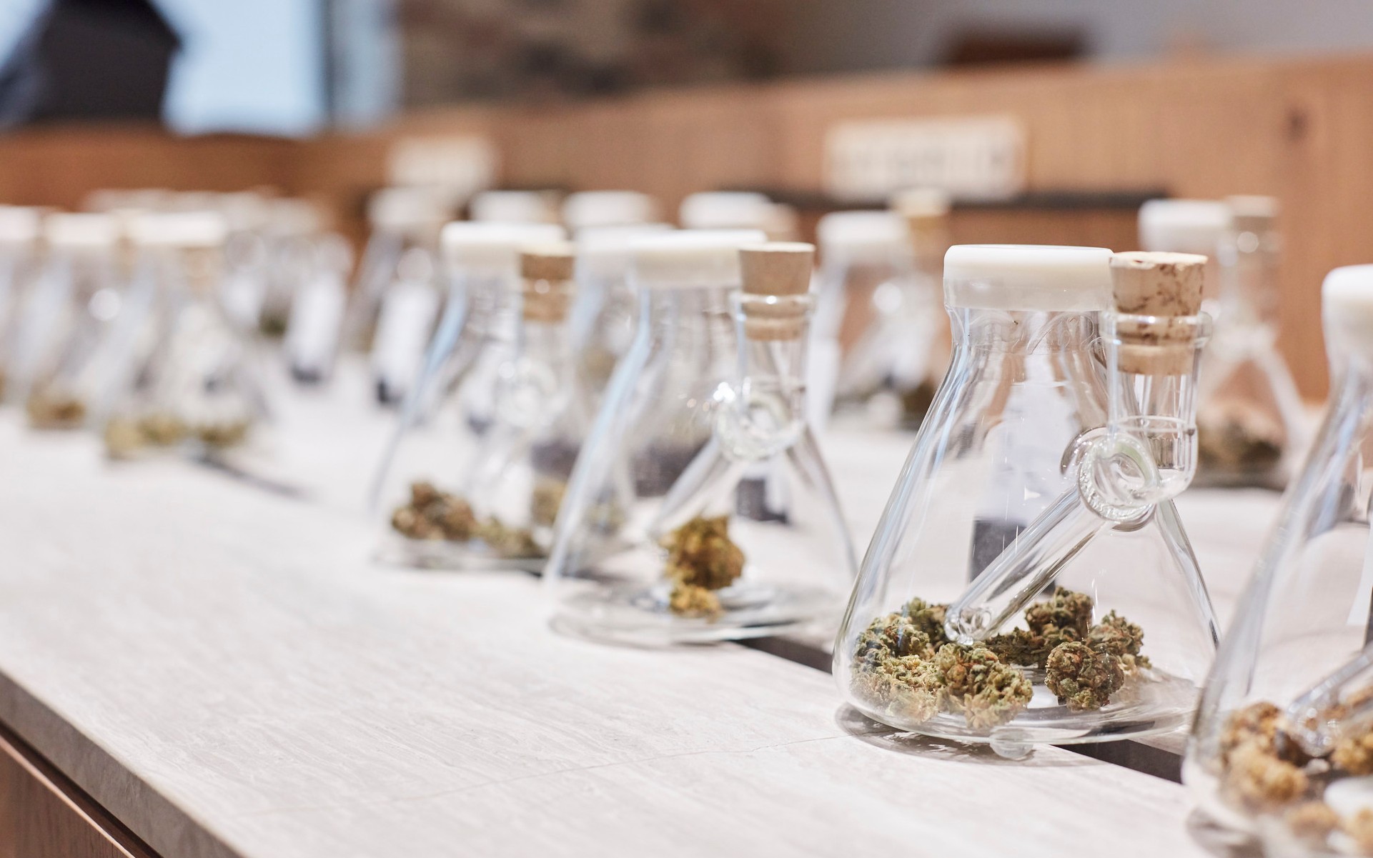 photo of When are cannabis tours and tasting rooms coming to Canada? image