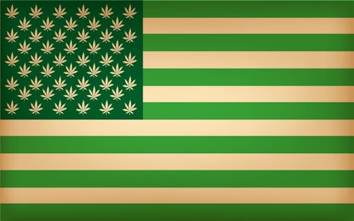United-States-marijuana-flag
