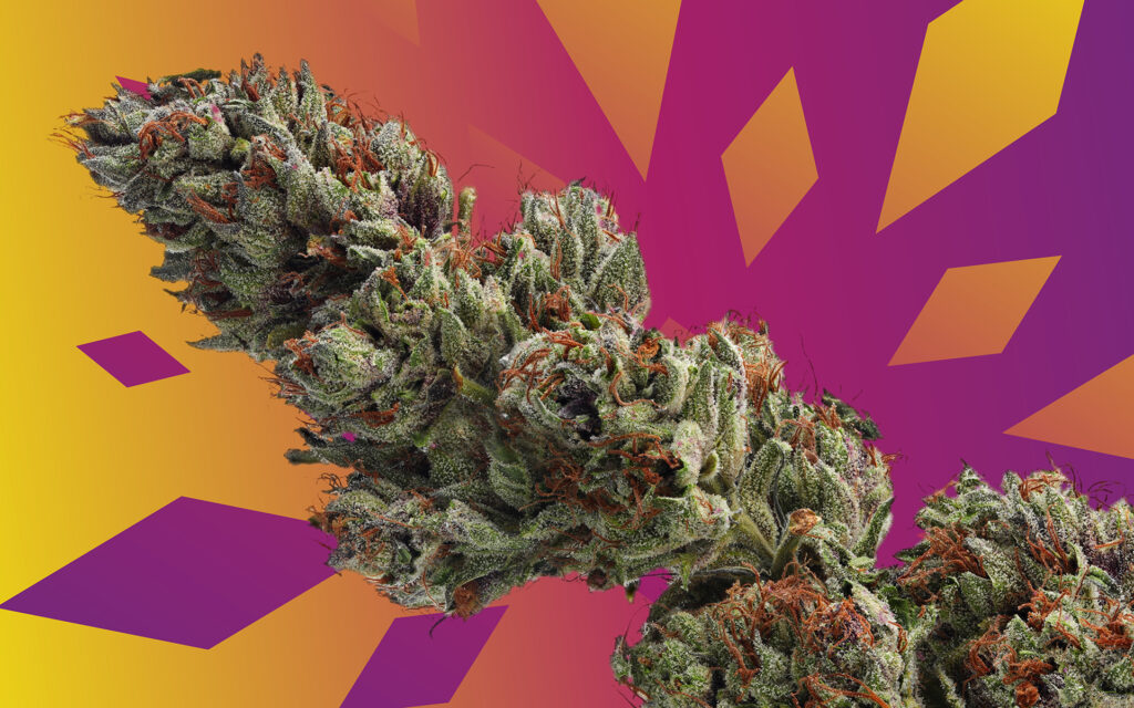 The Leafly Strain Of The Year For 2020 Is—Runtz! | Leafly