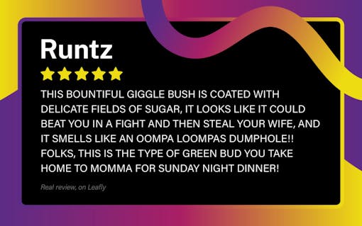 runtz, zkittlez, gelato, strain of the year, 2020