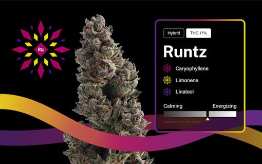 runtz, zkittlez, gelato, strain of the year, 2020