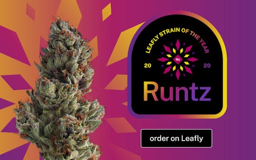 runtz, zkittlez, gelato, strain of the year, 2020