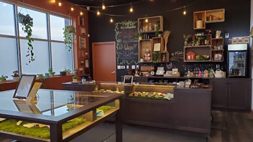 cannabis retailer canada