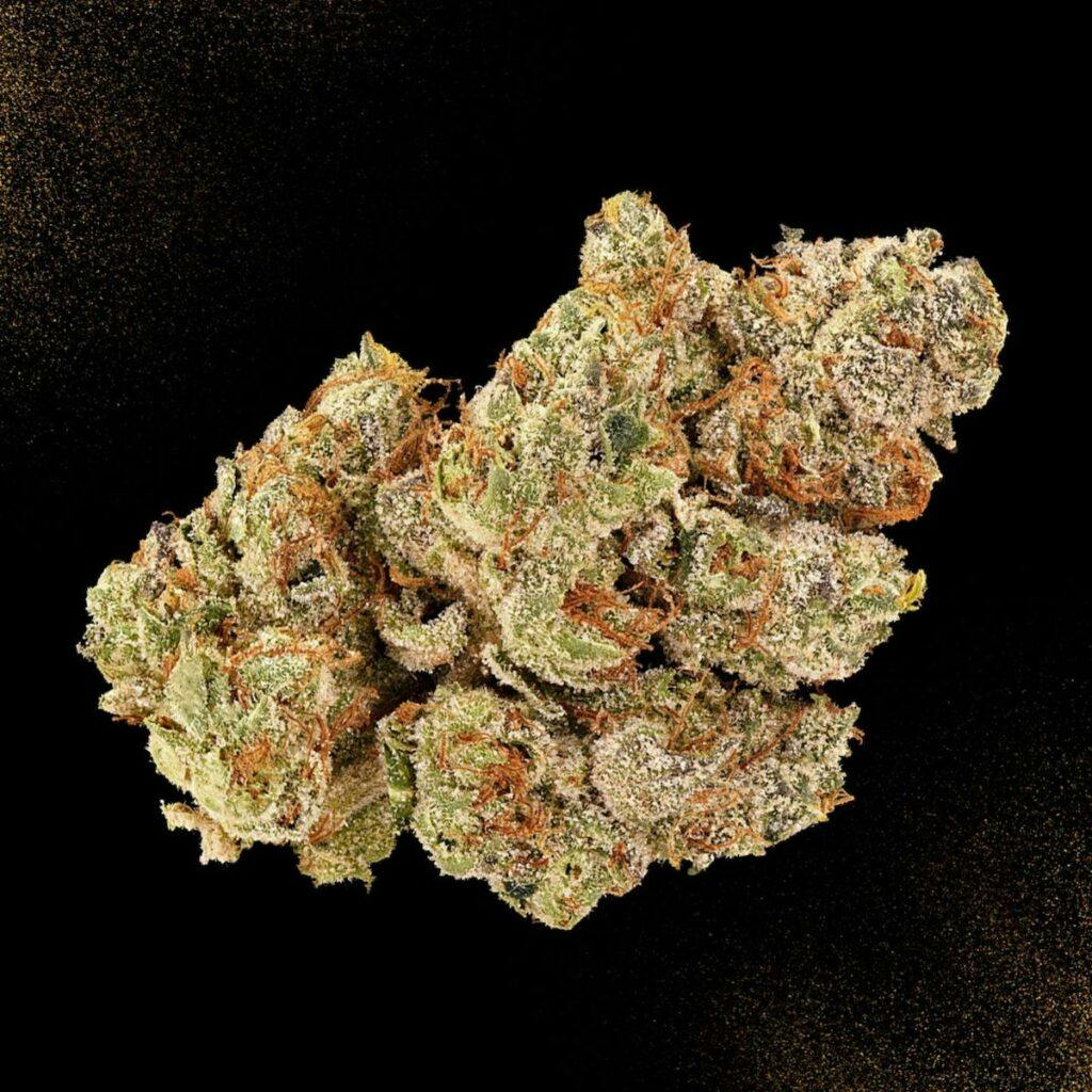 gmo cookies weed strain