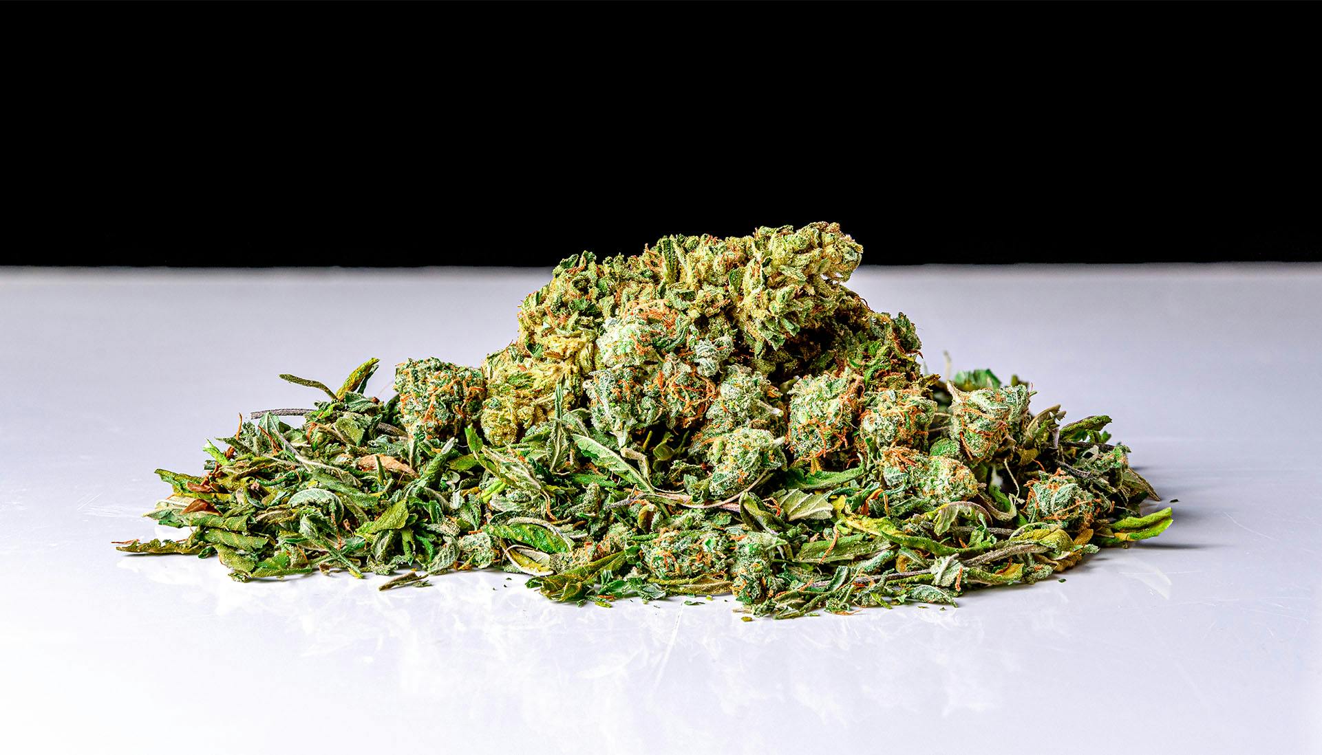 what-is-shake-cannabis-glossary-leafly