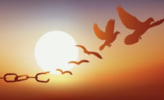 illinois-cannabis-pardons