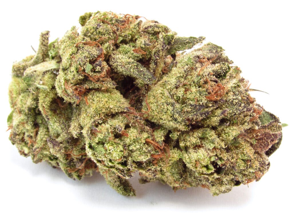 Ice Cream Cake marijuana strain