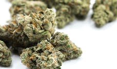 chronic, weed, marijuana