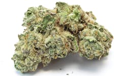 A close-up of Monogram No. 3 bud. (David Downs/Leafly)