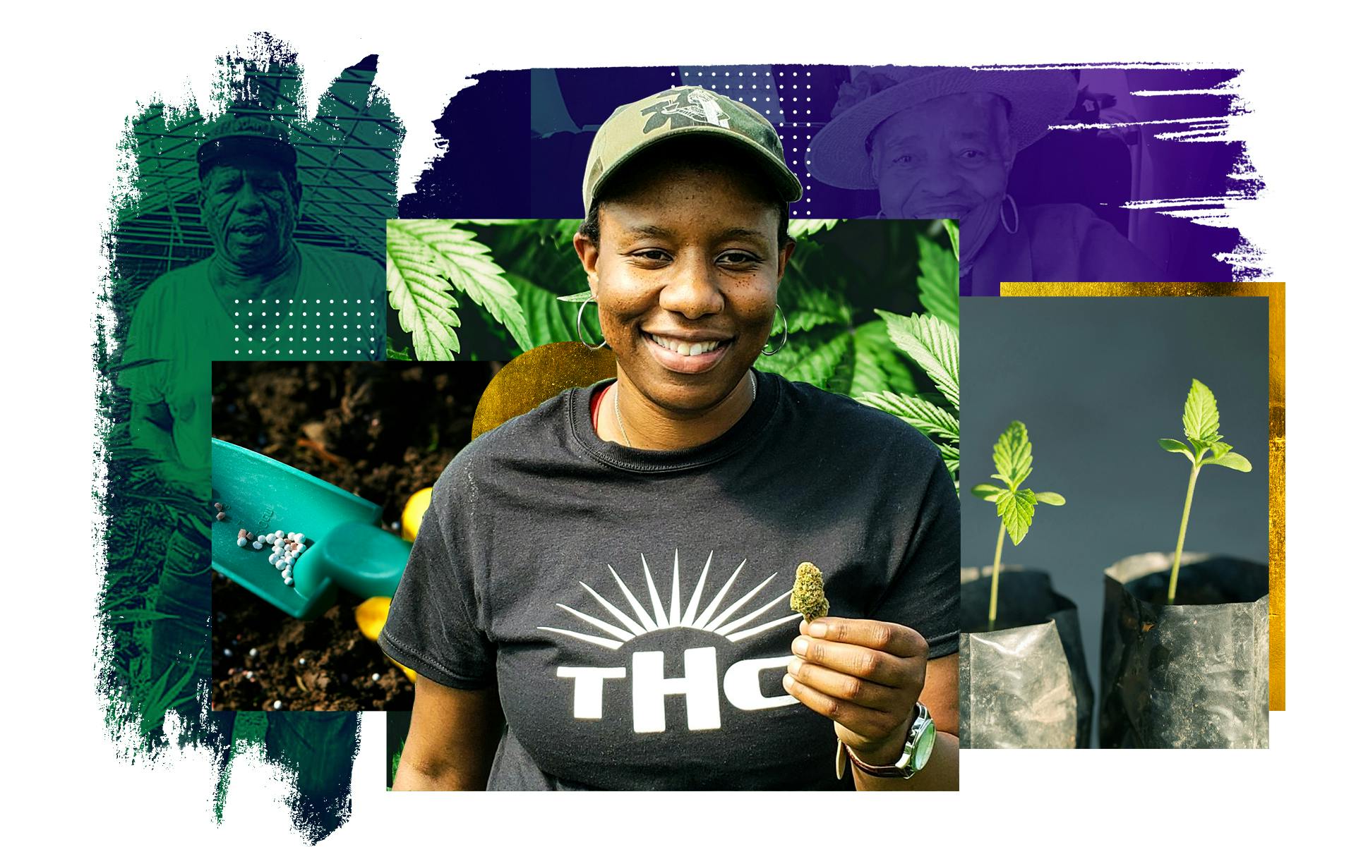 Joy Hollingsworth knows cannabis in Washington state image