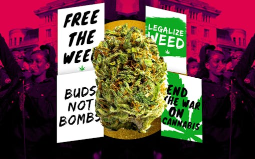 A weed nug and protest signs for legalization