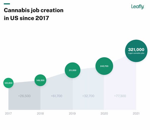 leafly-jobs-report-2021-YOY-growth