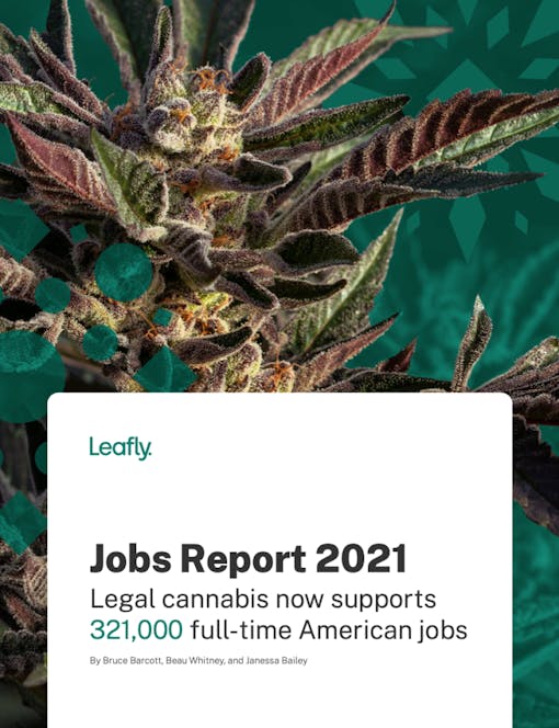 marijuana-jobs-report